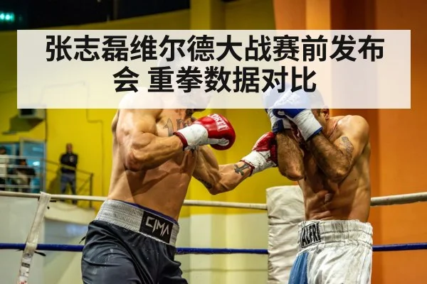张志磊维尔德大战赛前发布会 重拳数据对比