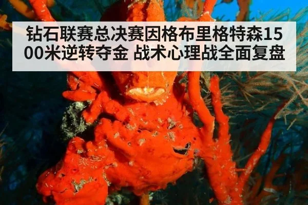 钻石联赛总决赛因格布里格特森1500米逆转夺金 战术心理战全面复盘