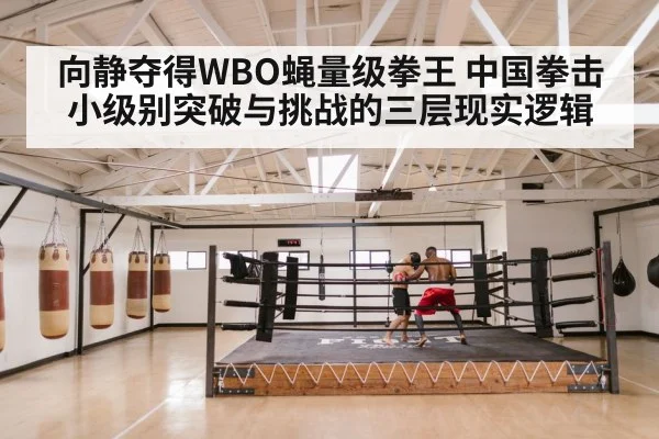 向静夺得WBO蝇量级拳王 中国拳击小级别突破与挑战的三层现实逻辑