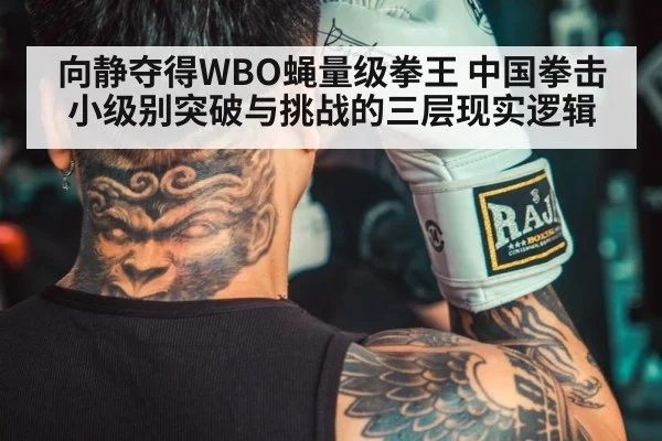 boxer training gym gloves